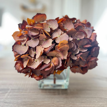 AUTUMN HYDRANGEA ARRANGEMENT