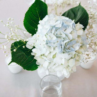 Faux white hydrangea arrangements in lifestyle photo