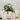 Pink flowerpot in lifestyle photo