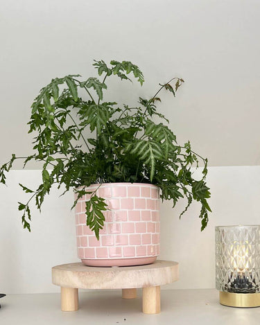 Pink flowerpot in lifestyle photo
