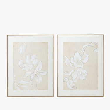 Canvas print of Wild Magnolia (A)