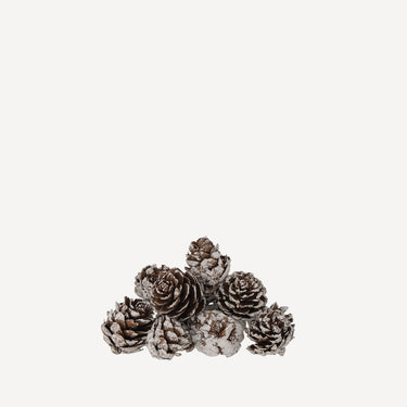 Pine Cones (frosted)