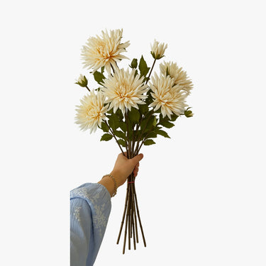 CHRYSANTHEMUM IN PINK