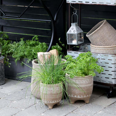 Rustic Terracotta plant pot with white etchings in lifestyle photo