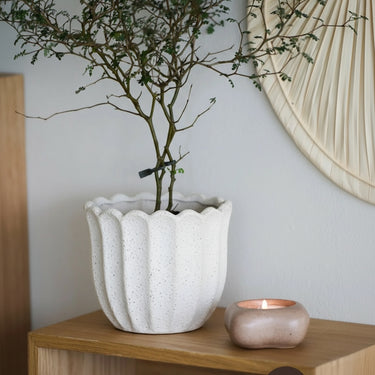 FLOWERPOT WITH SCALLOPED EDGE