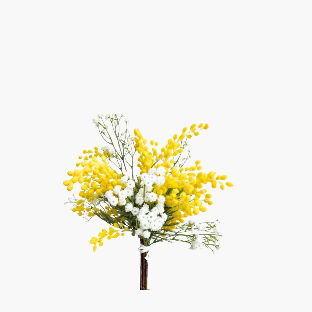 bouquet of mimosa and baby's breath on white background