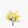 bouquet of mimosa and baby's breath on white background