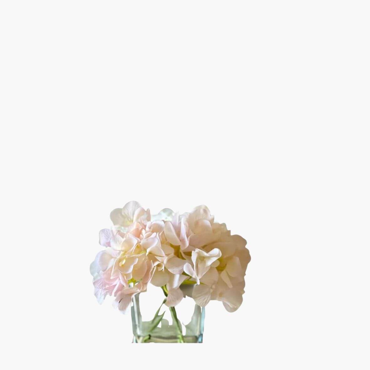 Faux blush Hydrangea arrangement in cubed glass vase on white background