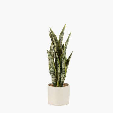 Faux plant in white pot with fixed stones on top on white background