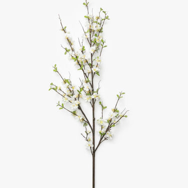 APPLE BLOSSOM STEM
