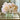 Silk flower Hydrangea arrangement in cubed glass vase in lifestyle photo