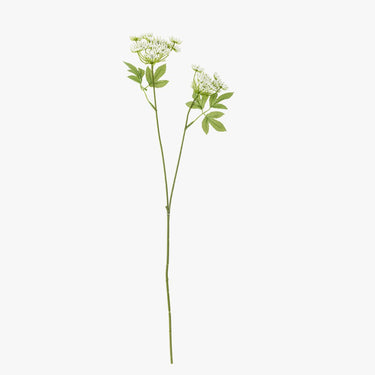 FENNEL STEM