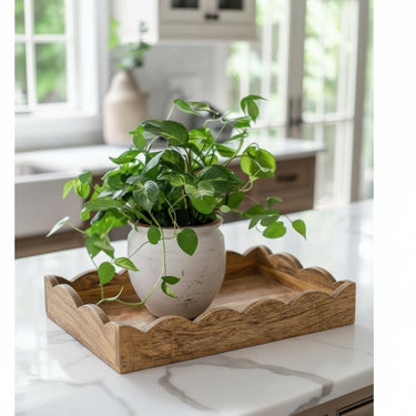 TRAY SCALLOPED IN MANGO WOOD