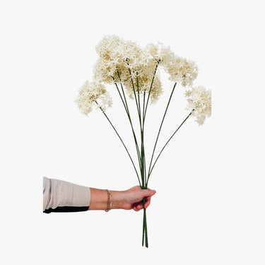 ALLUMI STEMS WITH 3 FLOWERS